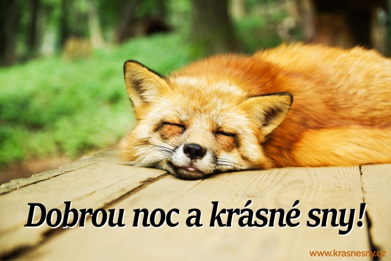 Přání Na Dobrou Noc – Texty, Obrázky, Básničky, Gify | KrásnéSny.cz